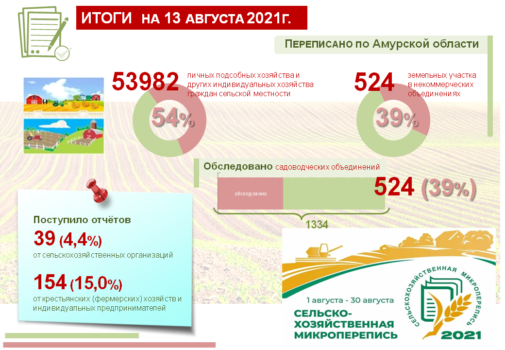 СХМП 2021. СХМП. Инфографика сельское хозяйство России 2021. Инфографика итоги.