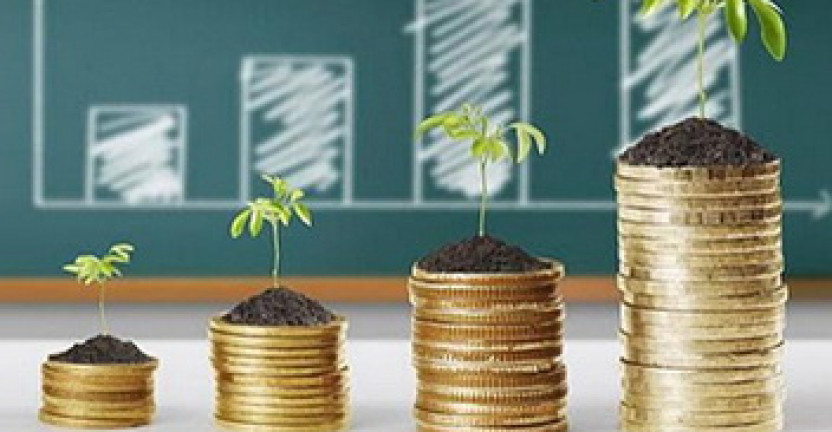 Инвестиции в основной капитал по крупным и средним организациям Амурской области за январь-июнь 2019 года