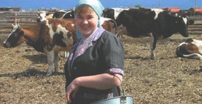 Об изменении поголовья скота  в Амурской области