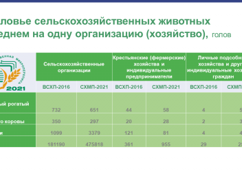 Результаты сельского хозяйства